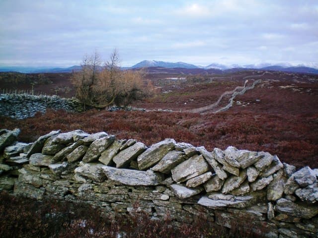 Creag nam Mial