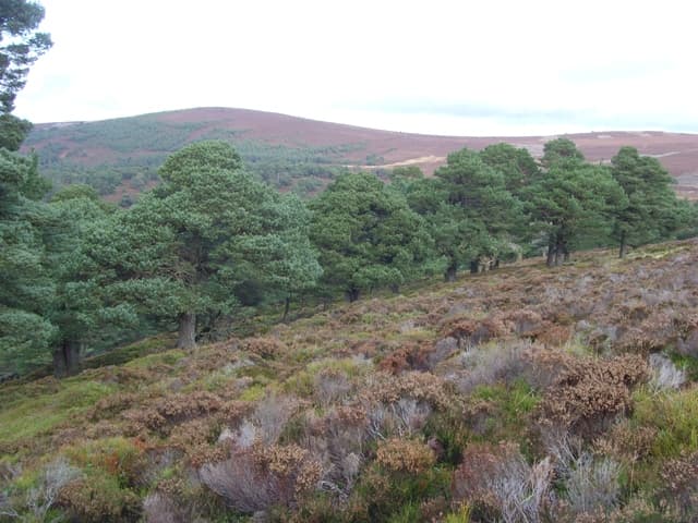 Glen Falloch