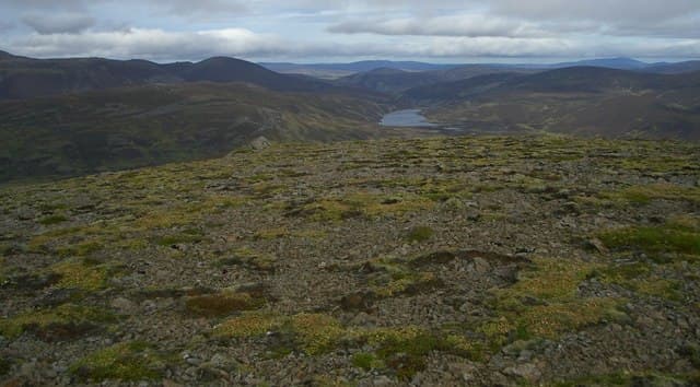 Culardoch