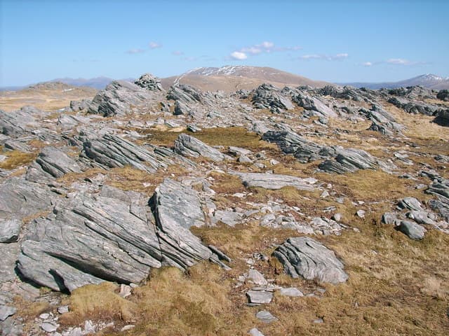 Faochaig