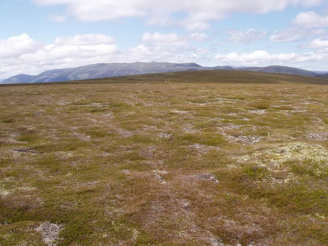 Brown Cow Hill