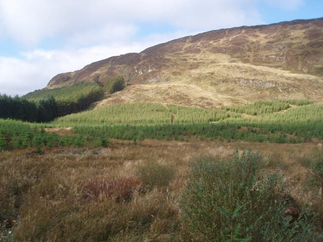 Craignell