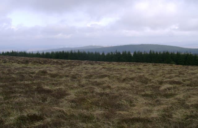 Nutberry Hill