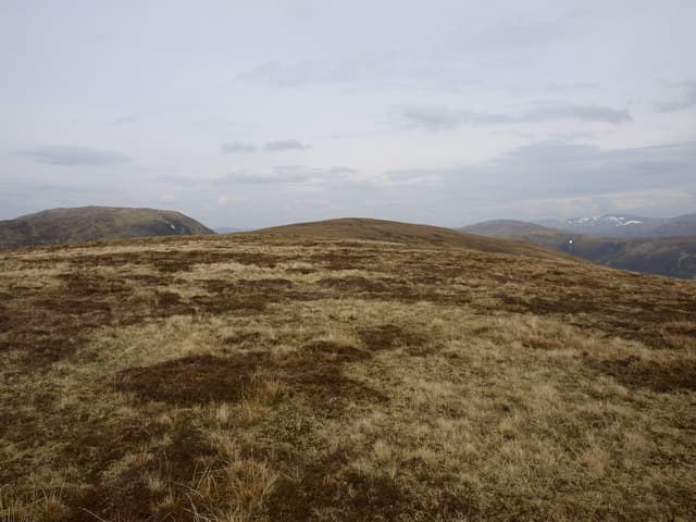 Leana Mhor
