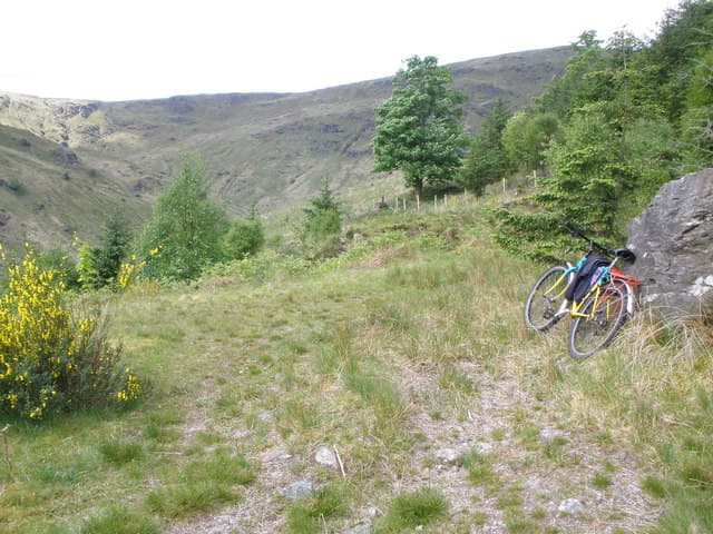 Cowal Way