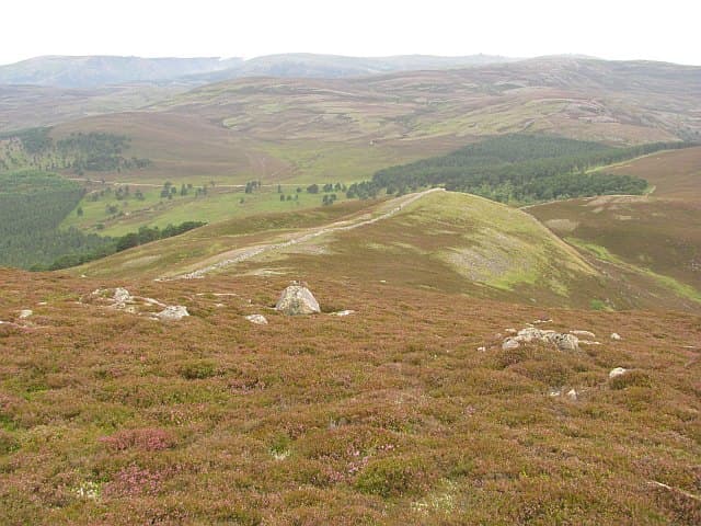 Craig Leek