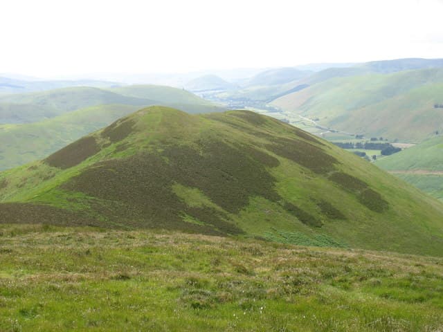 Ellson Fell