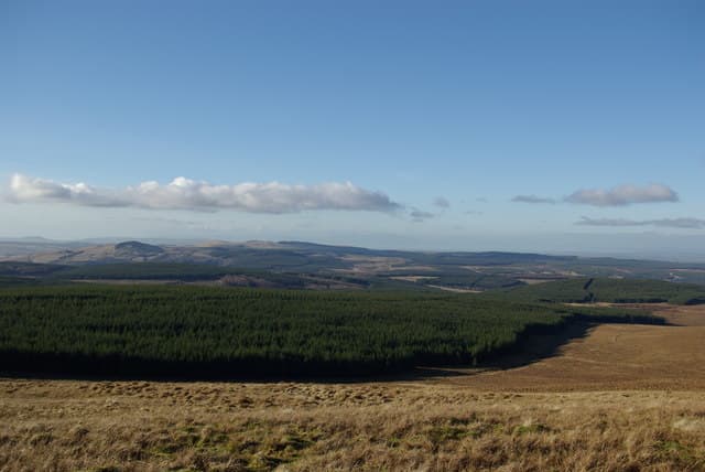 Enoch Hill