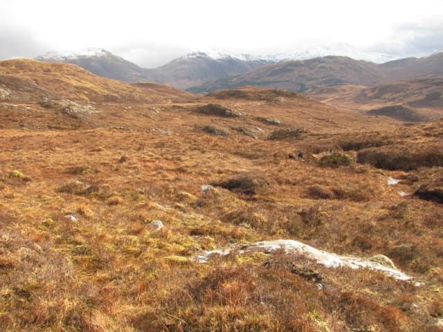 Beinn a' Chaoinich