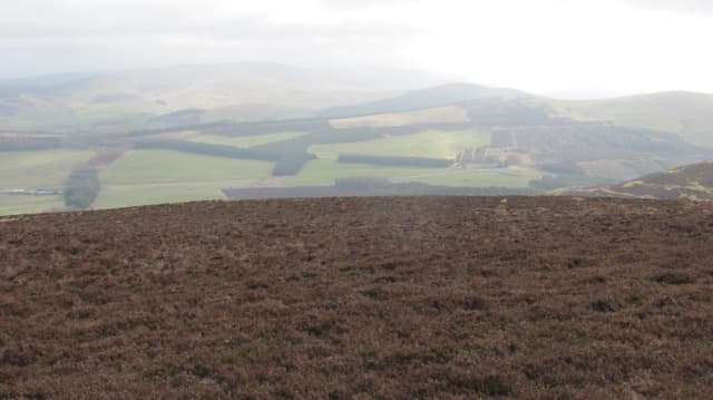 Black Mount