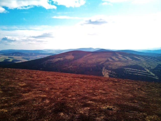 Ladylea Hill