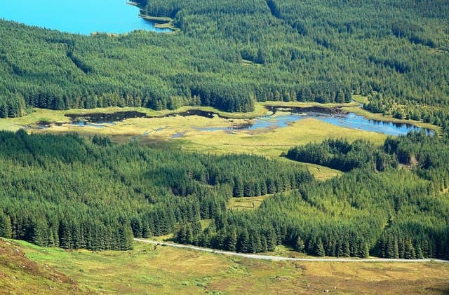 Shalloch on Minnoch