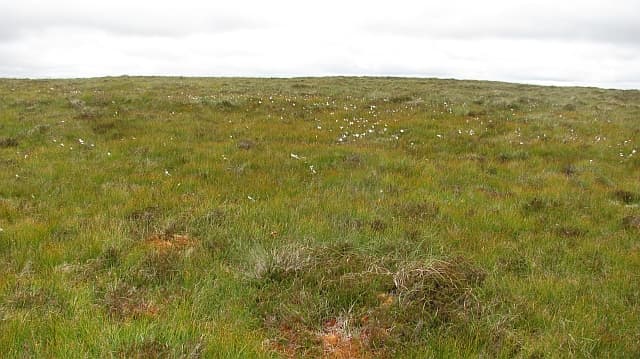 Creag nam Fiadh