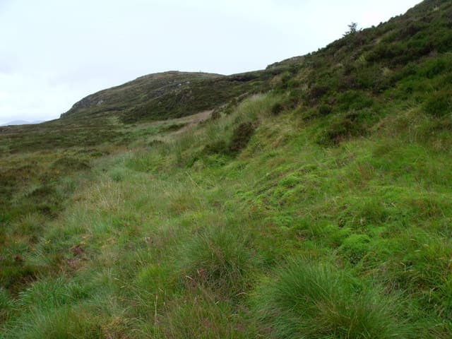 Binnean nan Gobhar