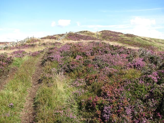 Benarty Hill