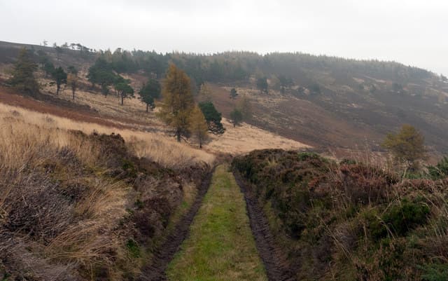 Lord Arthur's Hill