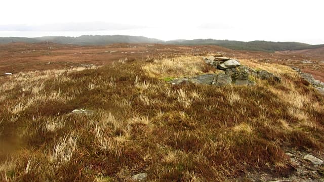 Sgurr nan Caorach