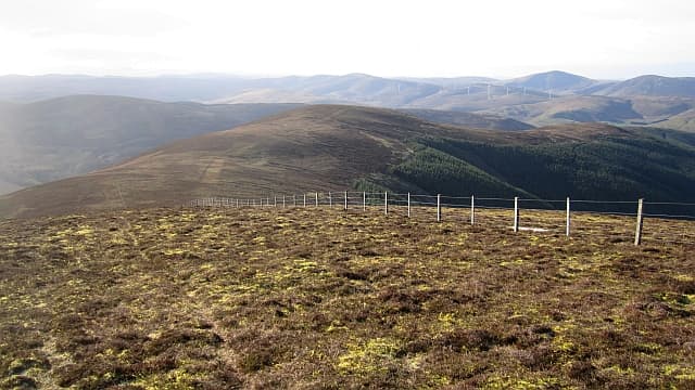 Middle Hill