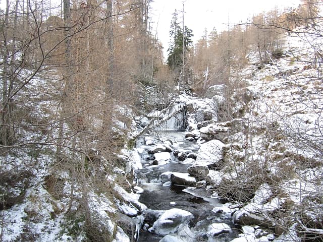 Glen Doll