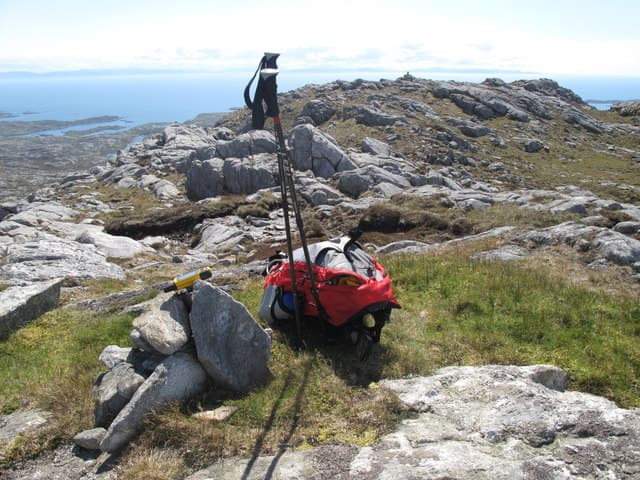 An Coileach