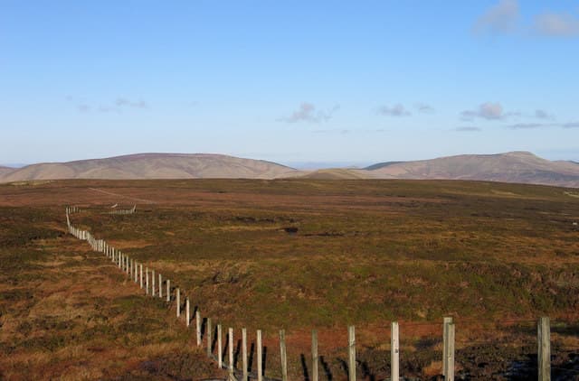 Roan Fell