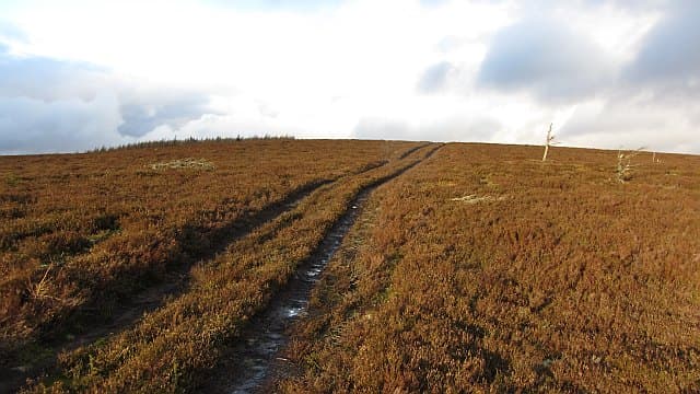 Coiliochbhar Hill