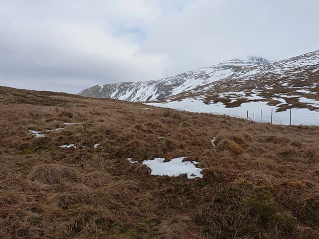Sgurr Gaorsaic