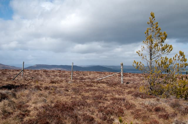 Cnoc an t-Sabhail
