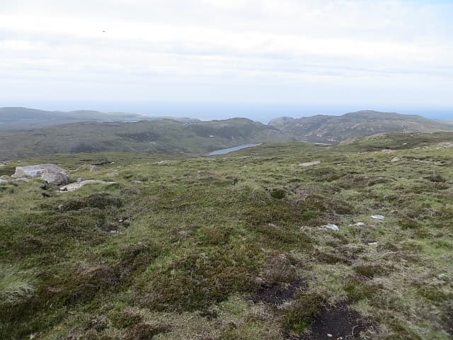Mid Ward