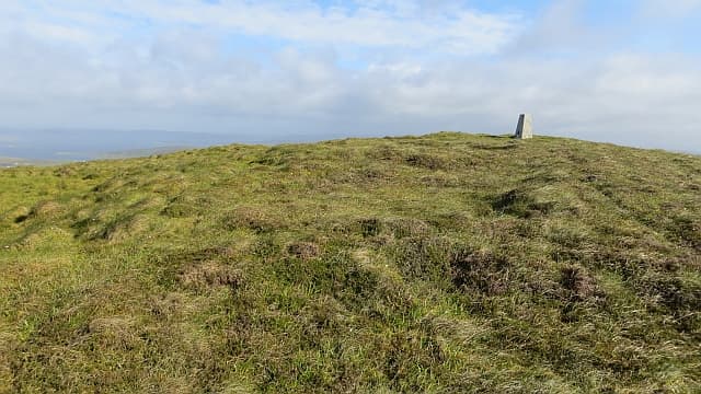 Scrae Field