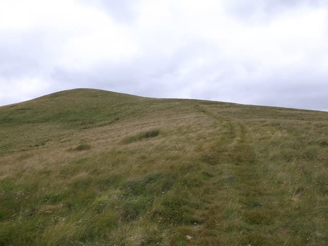 Middlefield Law