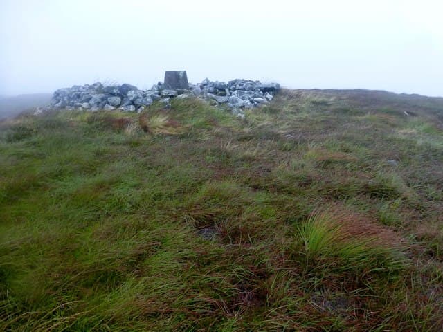 Muirneag
