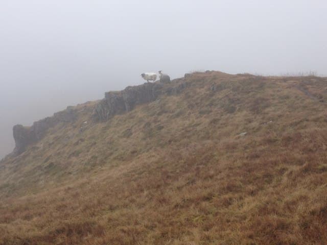 Mam na Gualainn