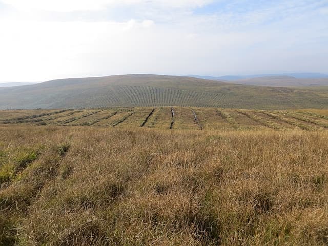 Windy Hill
