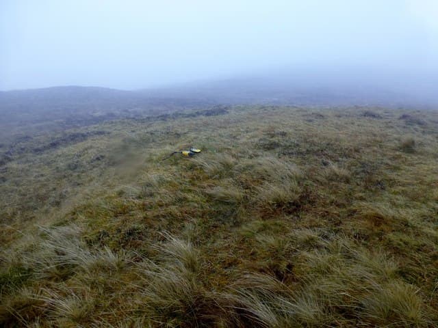 Tom nam Fitheach