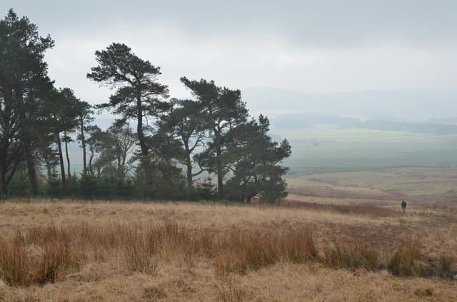 Mendick Hill