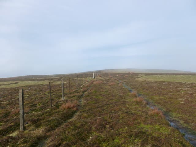 Glenrath Heights