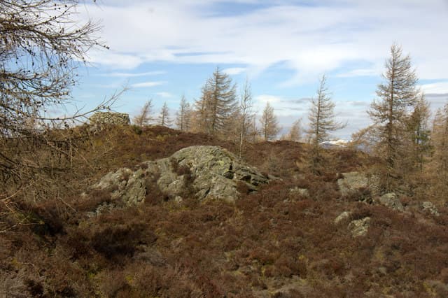 Birnam Hill - King's Seat