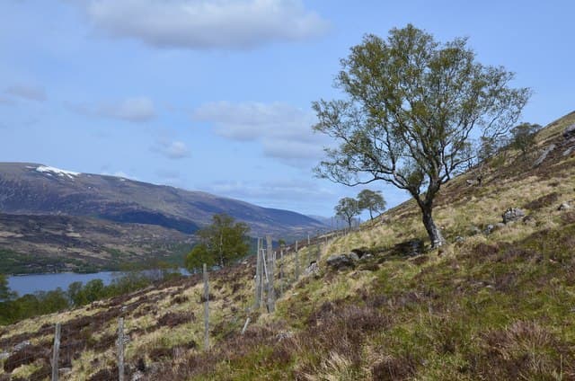 Binnein Shuas