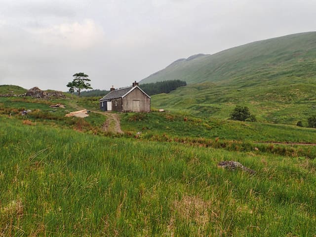 Tomsleibhe