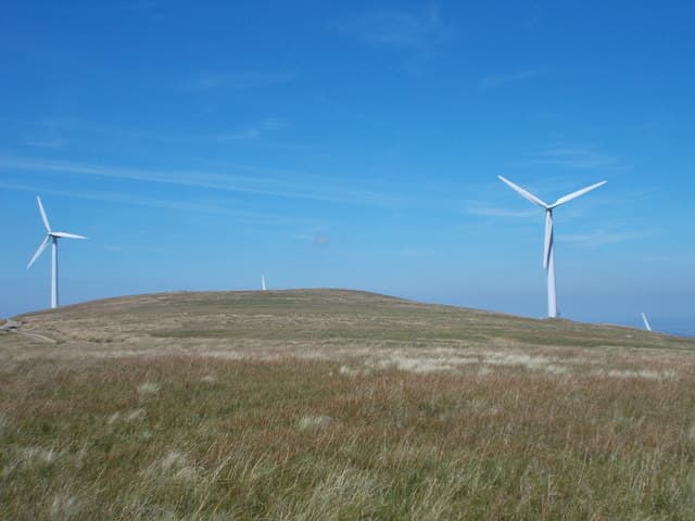 Windy Standard