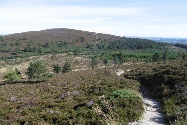 Cairn William