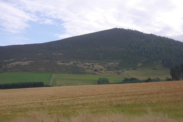 Ben Newe