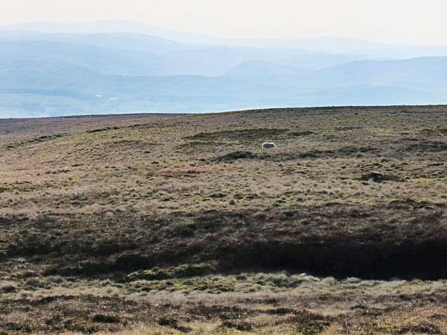 Gana Hill