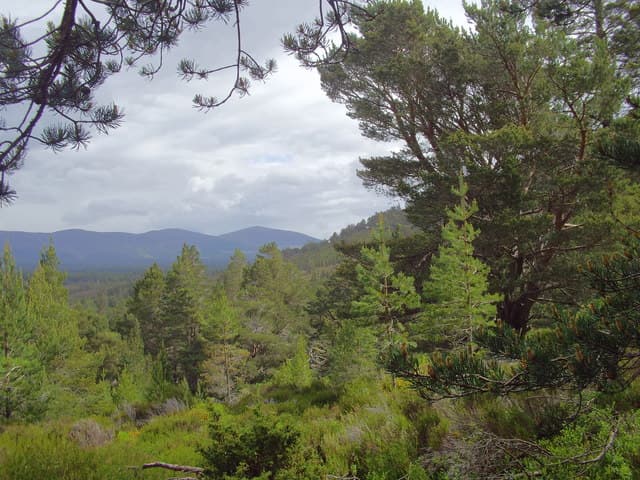 Loch an Eilein