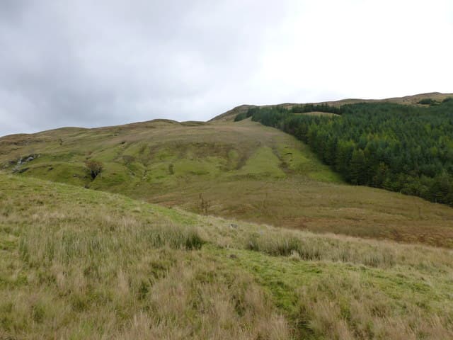 Fiarach