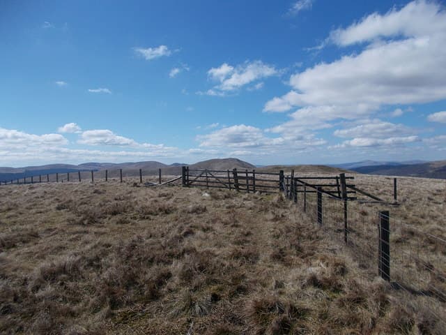 Bell Craig