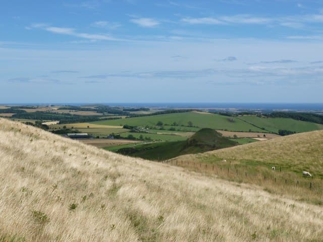 Largo Law