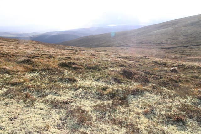 Creagan a' Chaise