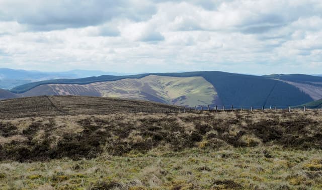 Whitehope Law